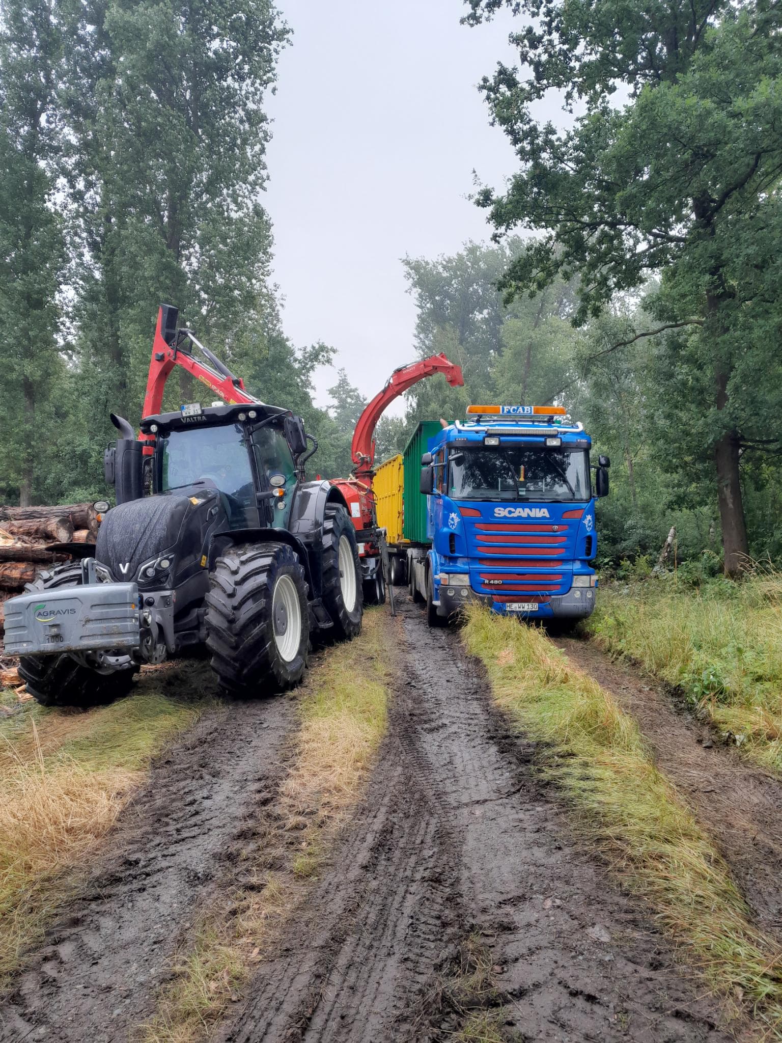 Voda Baumpflege Team bei der Arbeit