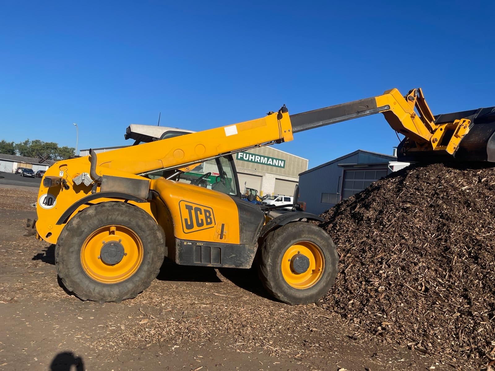 Baumpflegearbeiten in Helmstedt