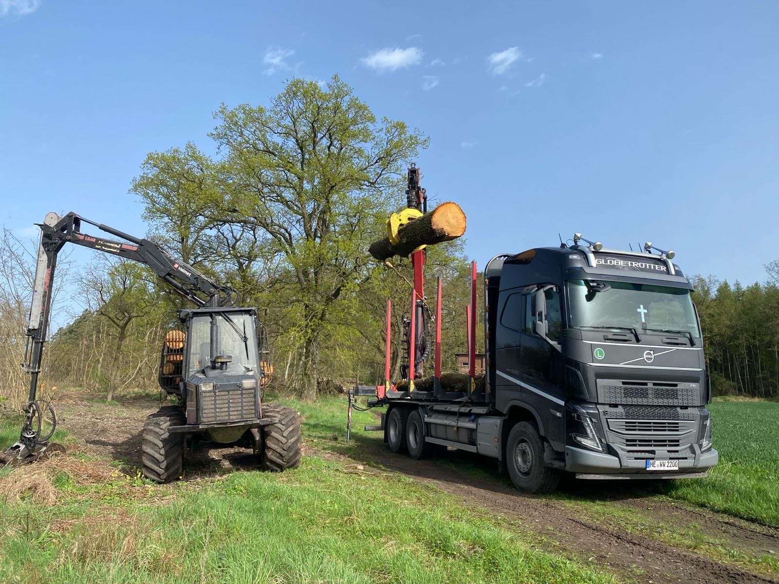 e1376b9a f554 4482 bb74 79634152ab31