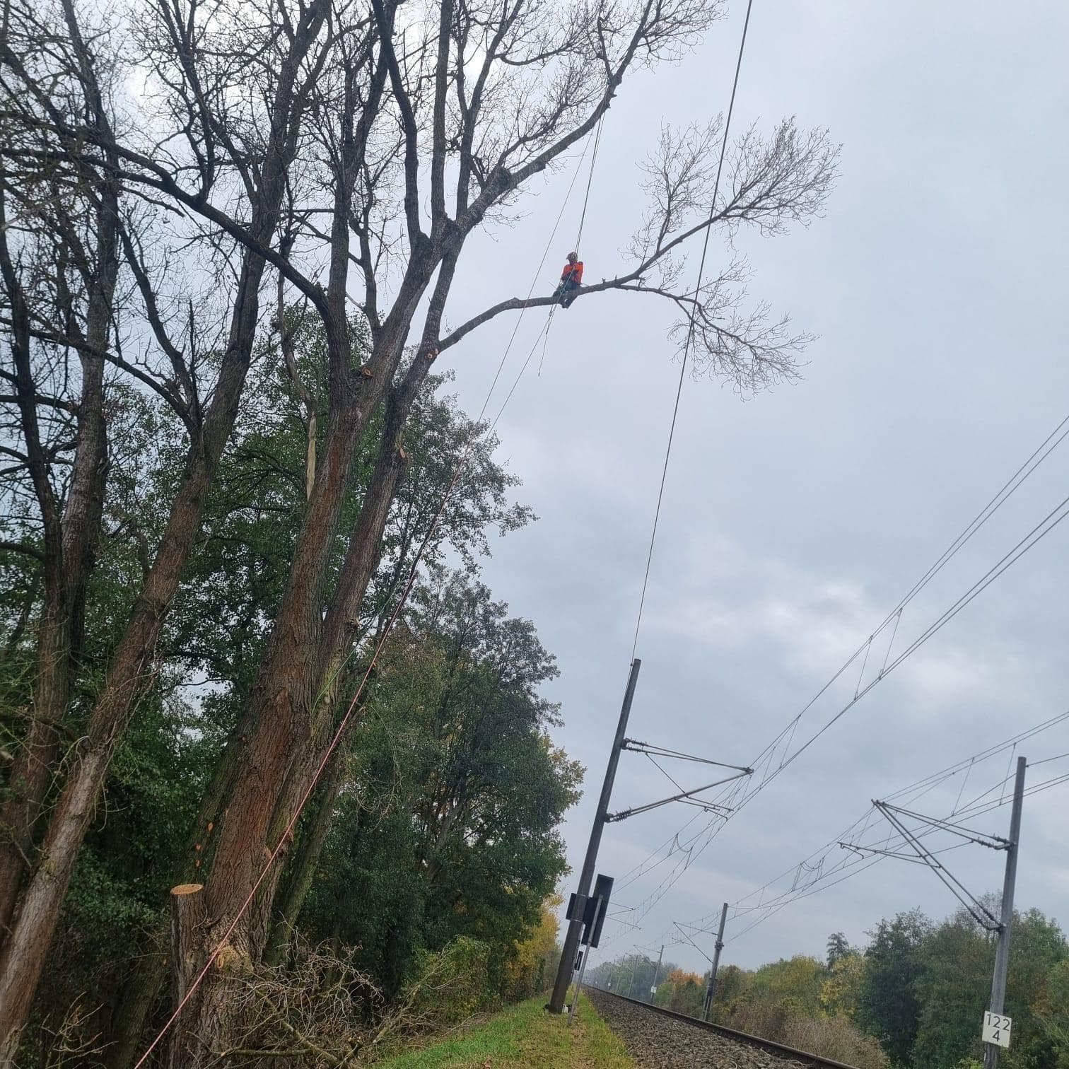 signal 2024 11 16 202027 002