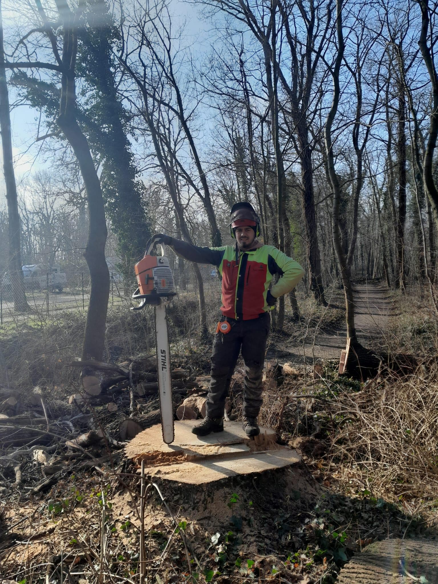 signal 2024 11 16 203554 002