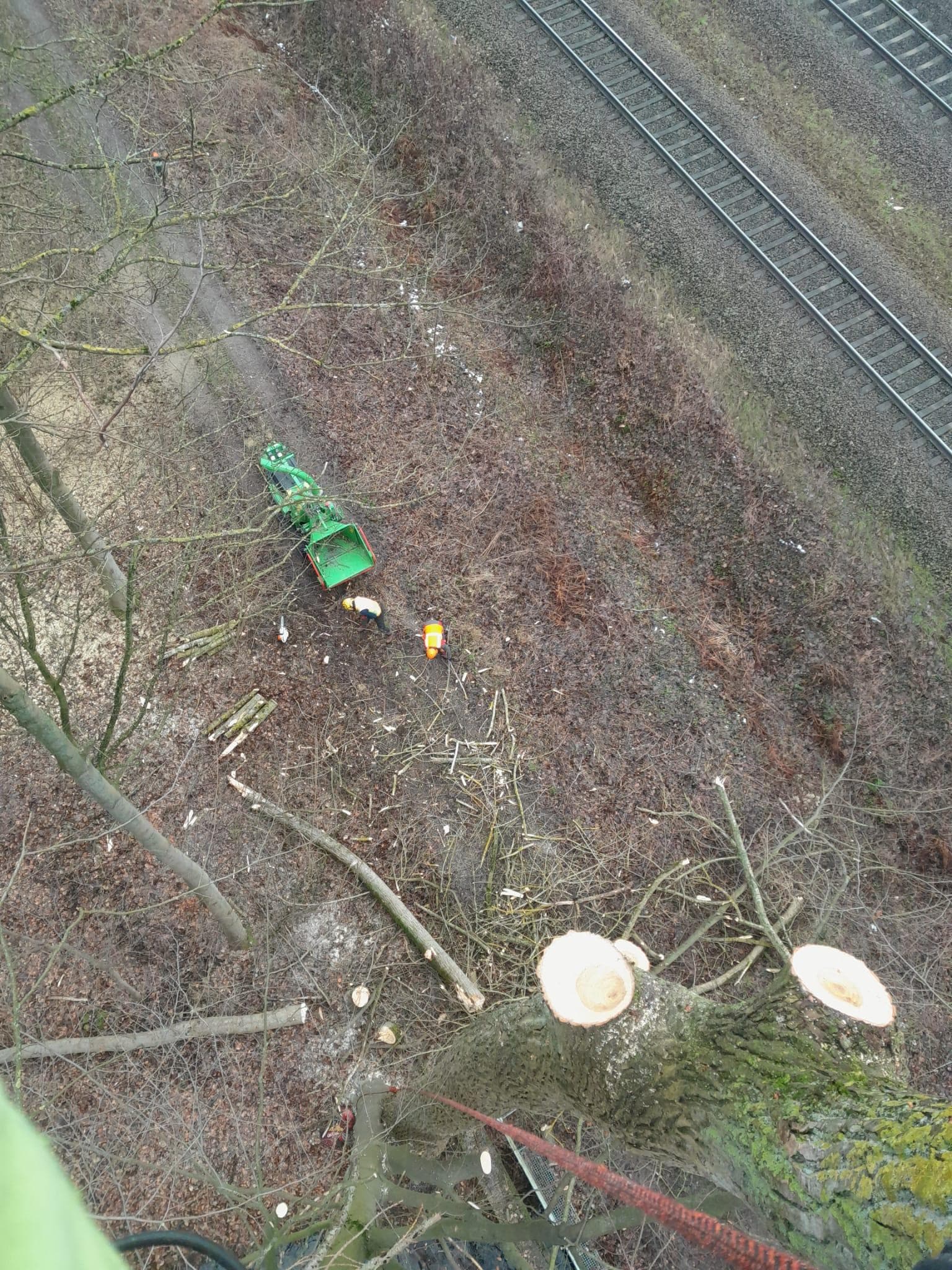 signal 2024 11 16 204958 002