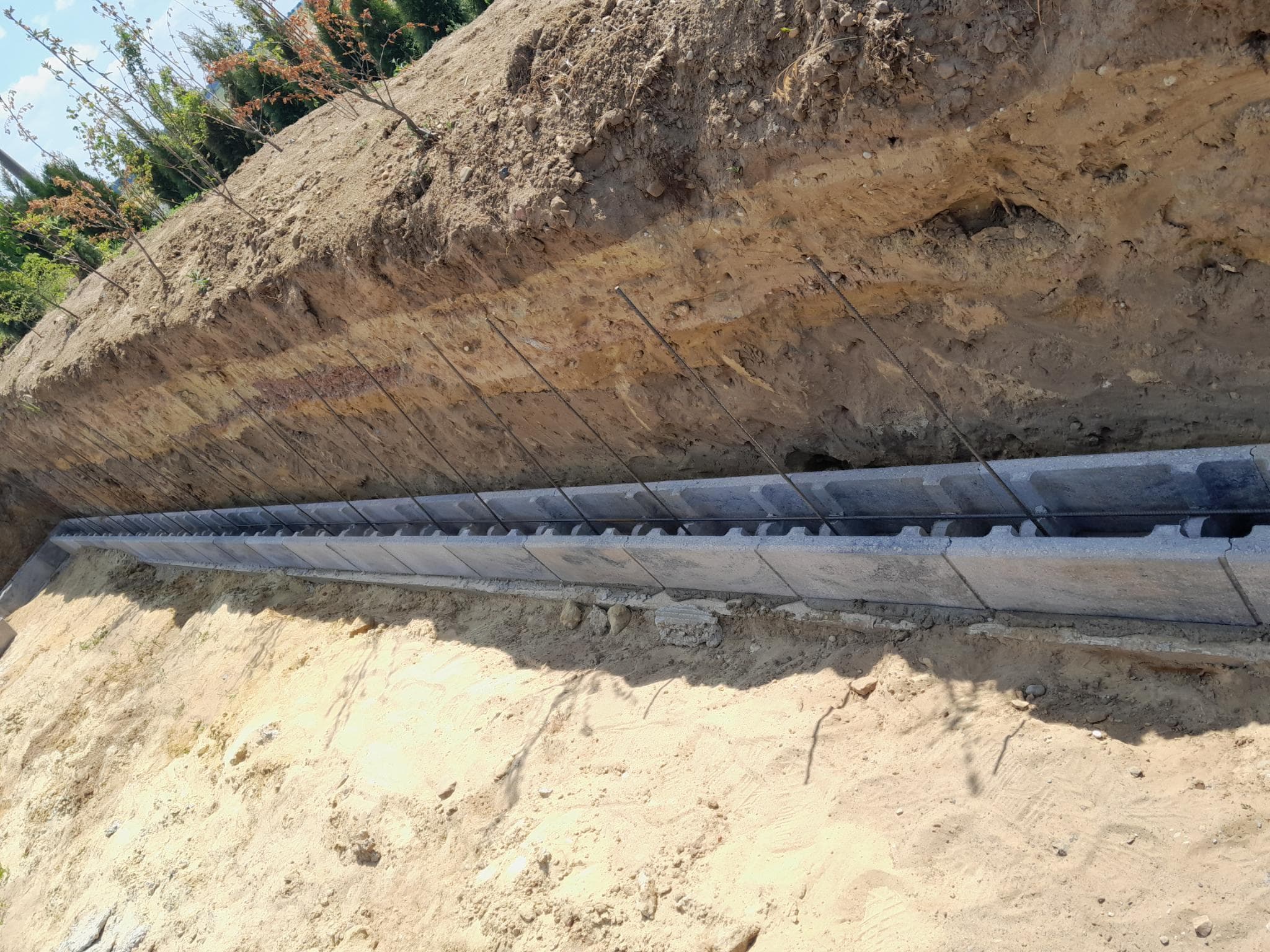 signal 2024 11 16 205328 002