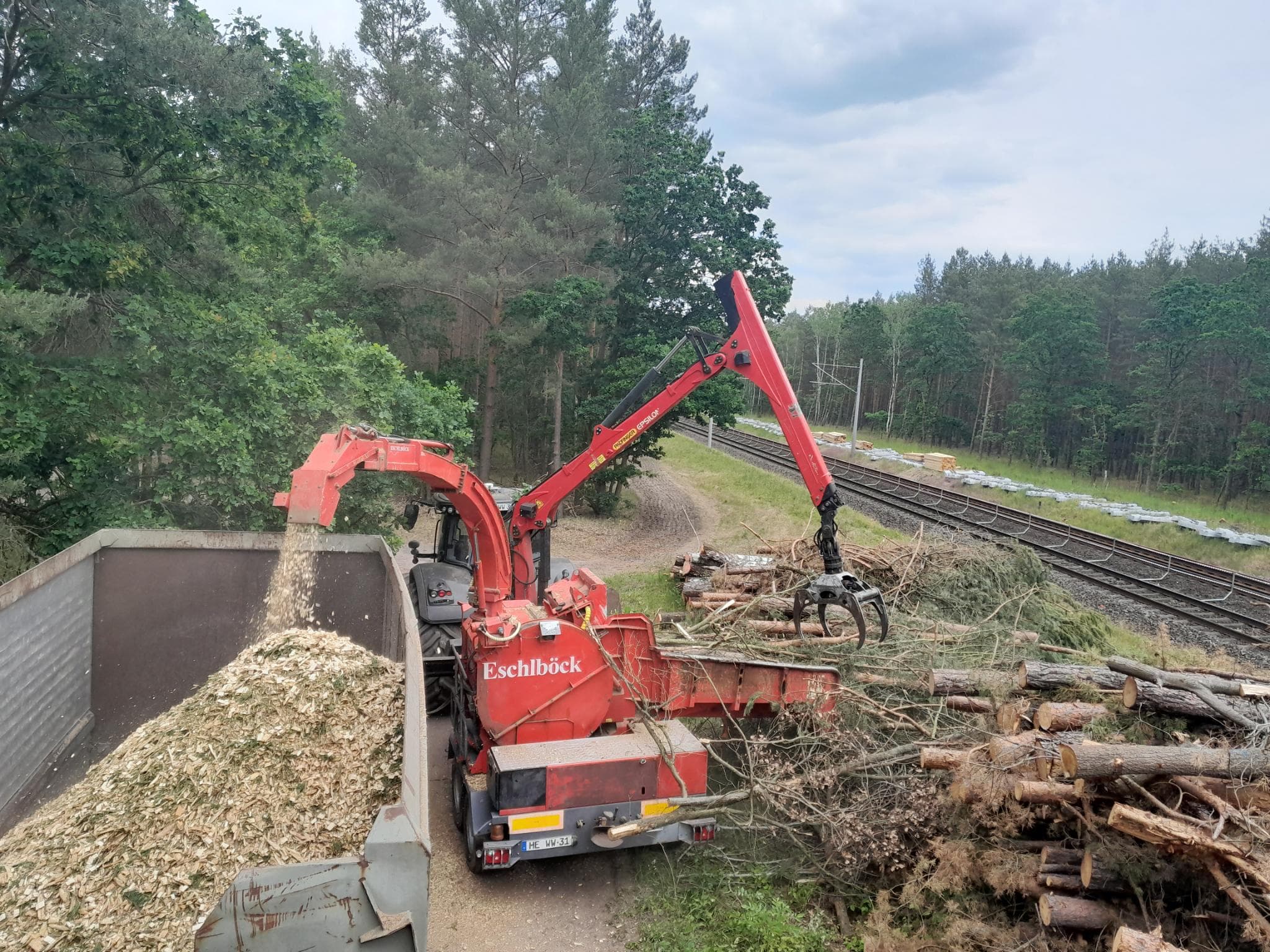 Baumpflege im Einsatz