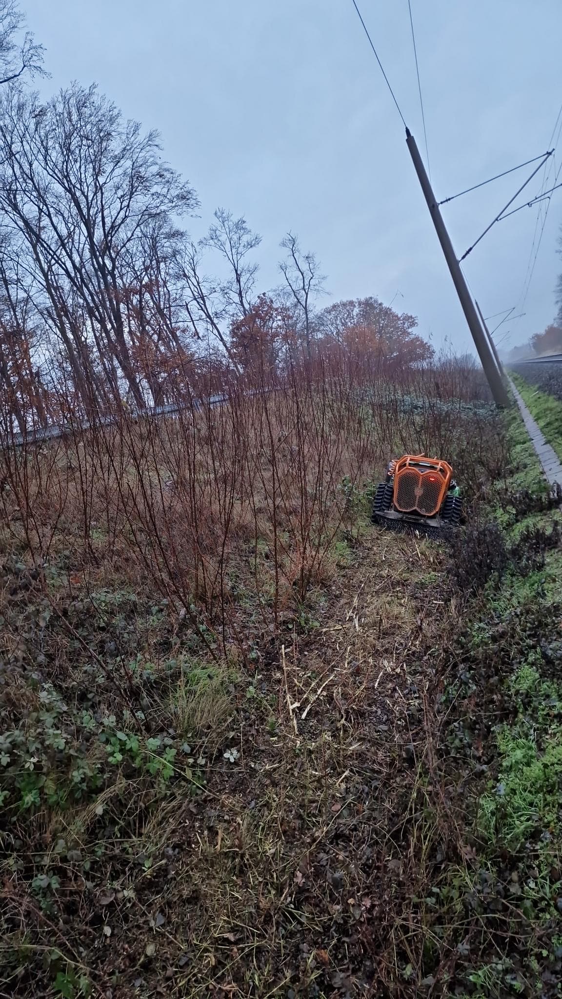 signal 2024 11 17 132722 002