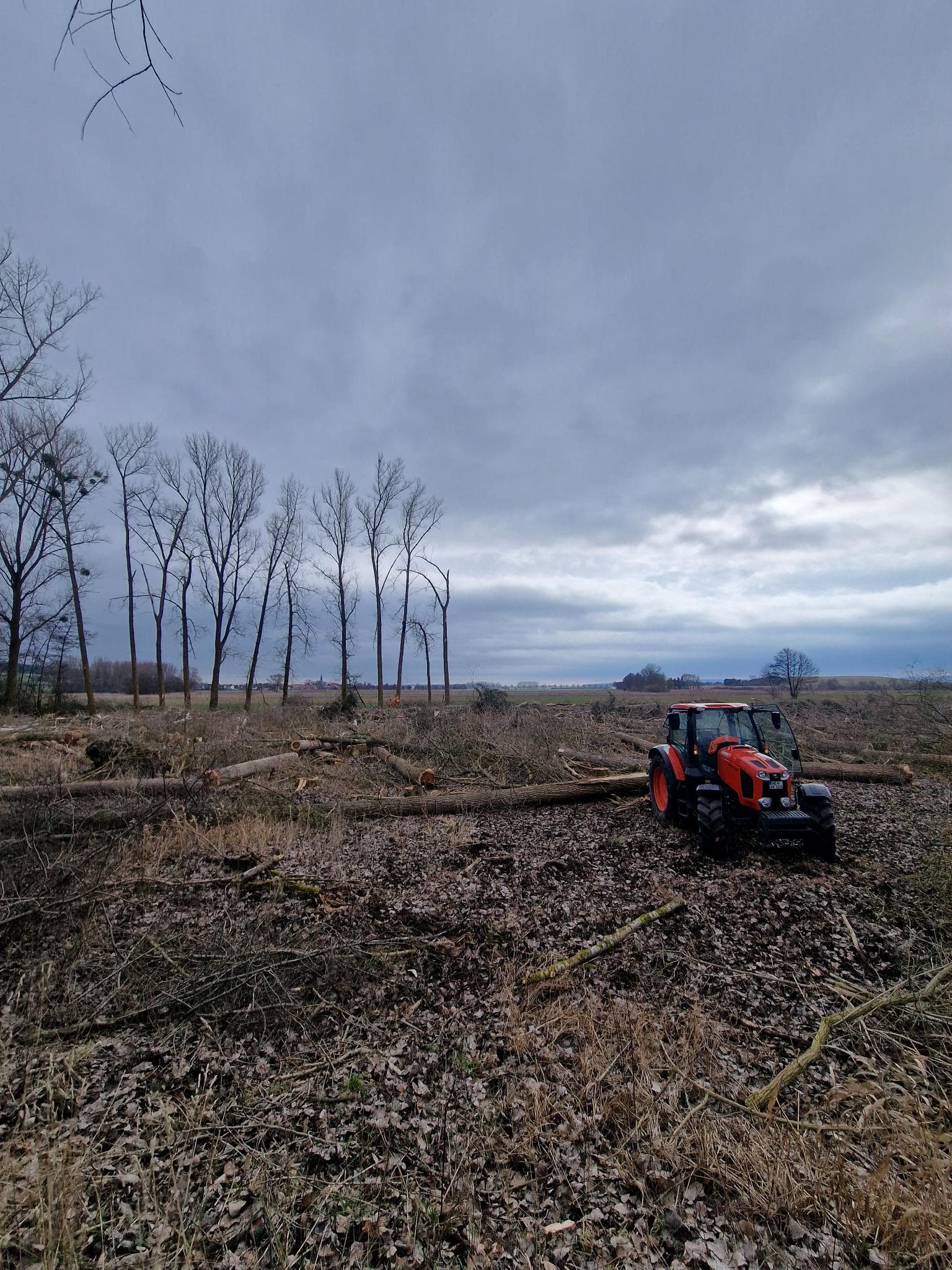 signal 2024 11 17 132937 004