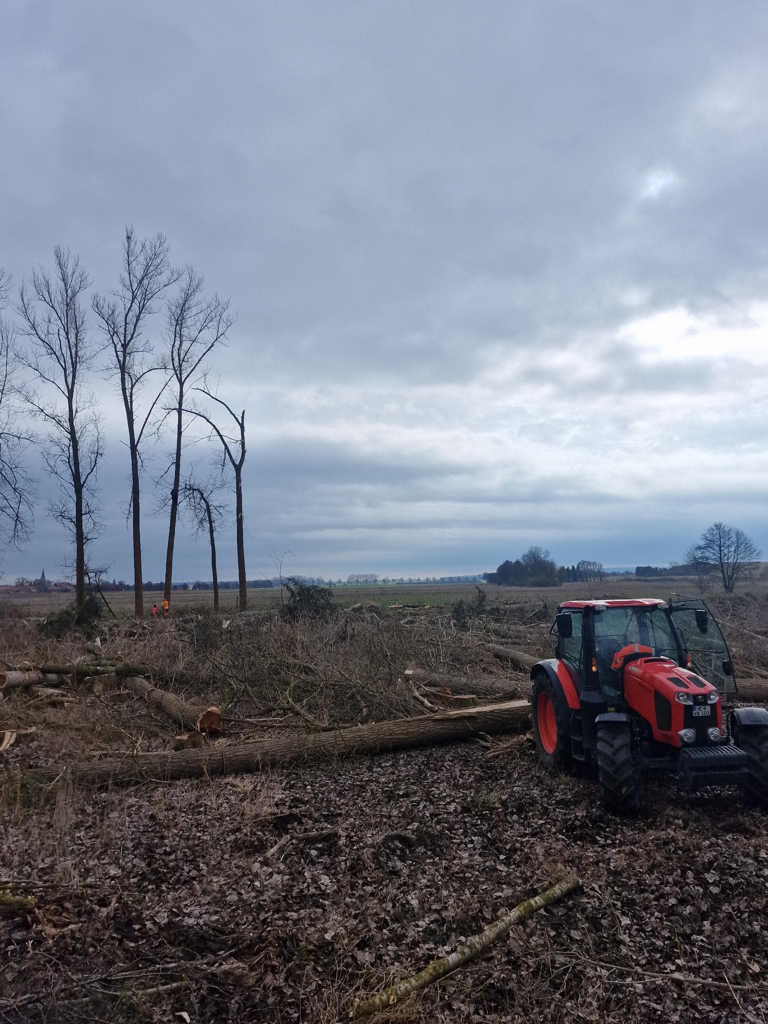 signal 2024 11 17 132937 005