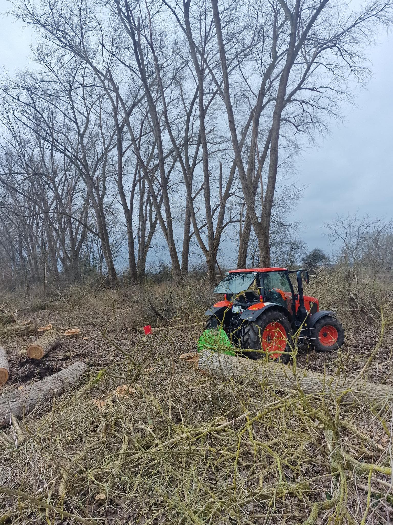 signal 2024 11 17 132937 007