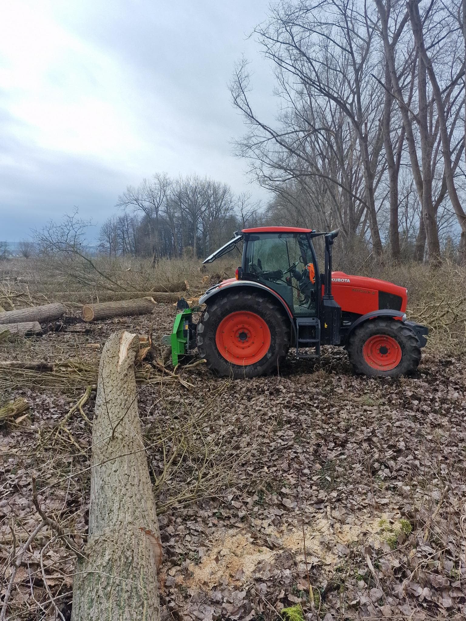 signal 2024 11 17 132937 008