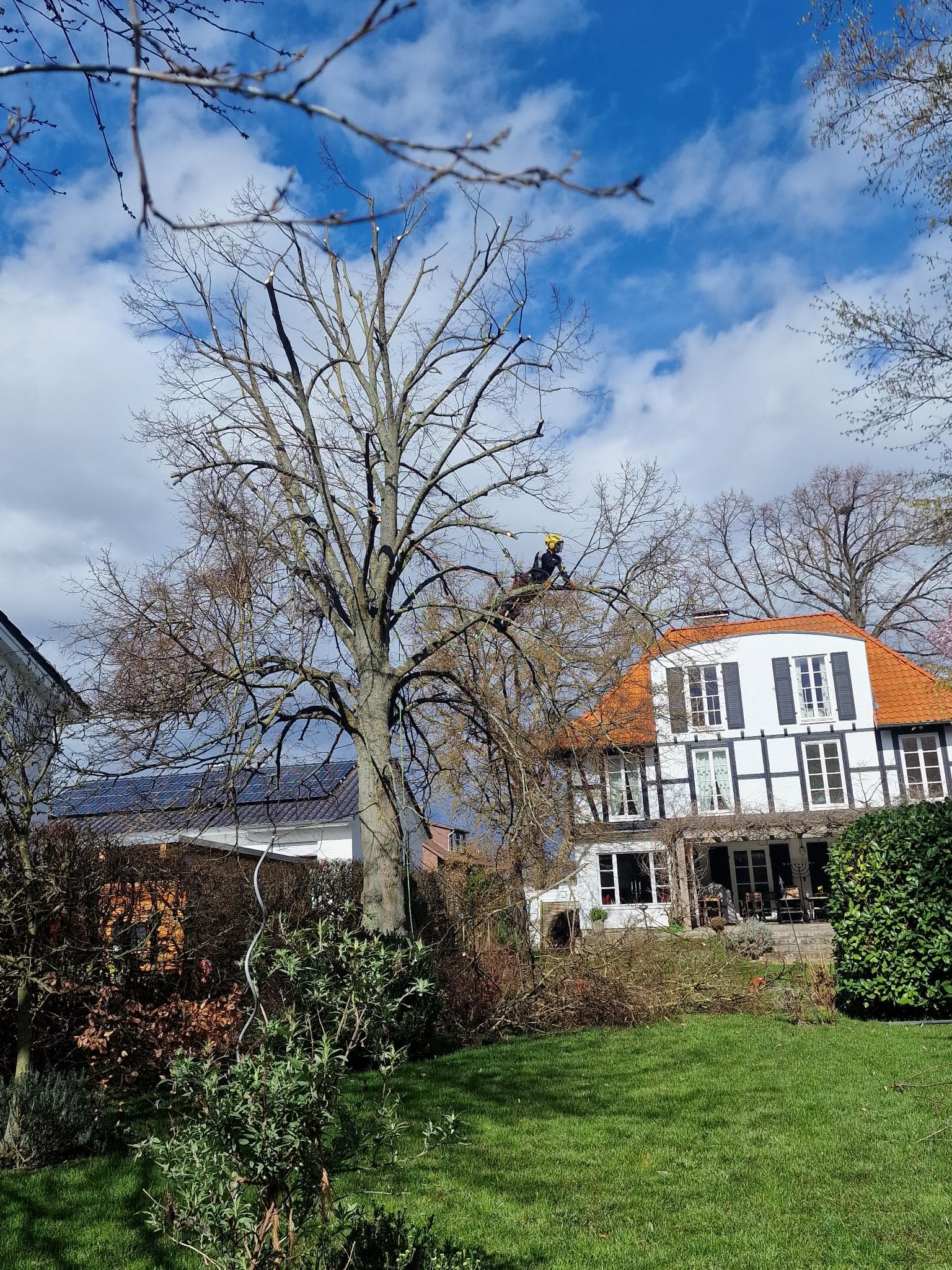 signal 2024 11 17 133112 002