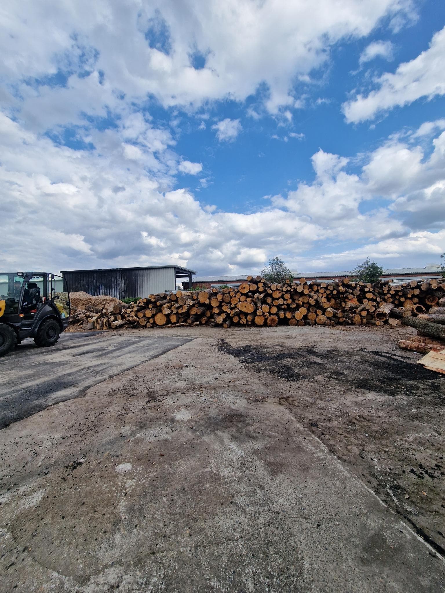 signal 2024 11 17 133701 003