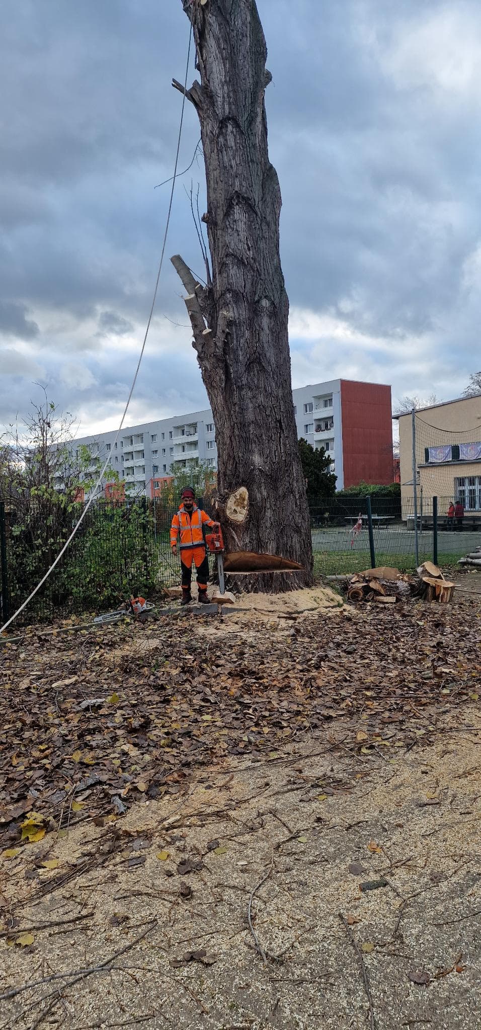 signal 2024 11 17 134421 002