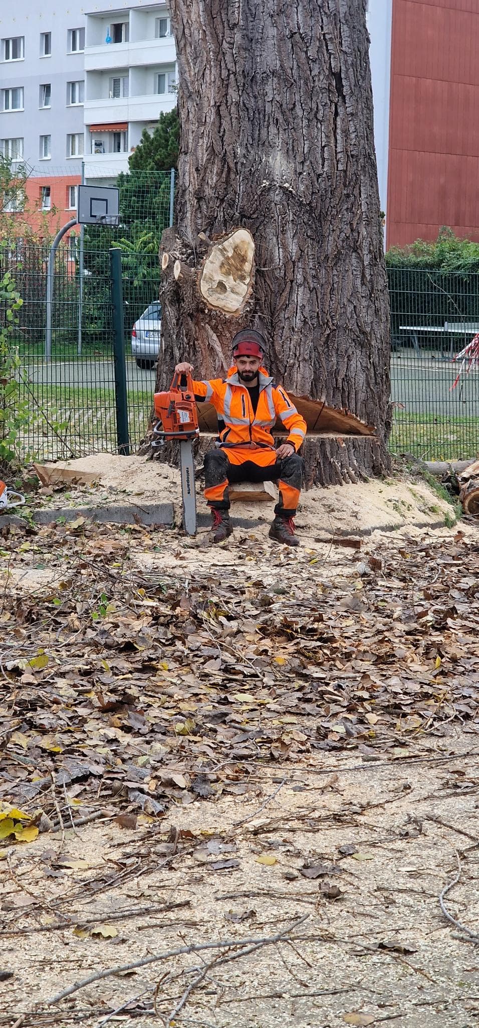 signal 2024 11 17 134421 004