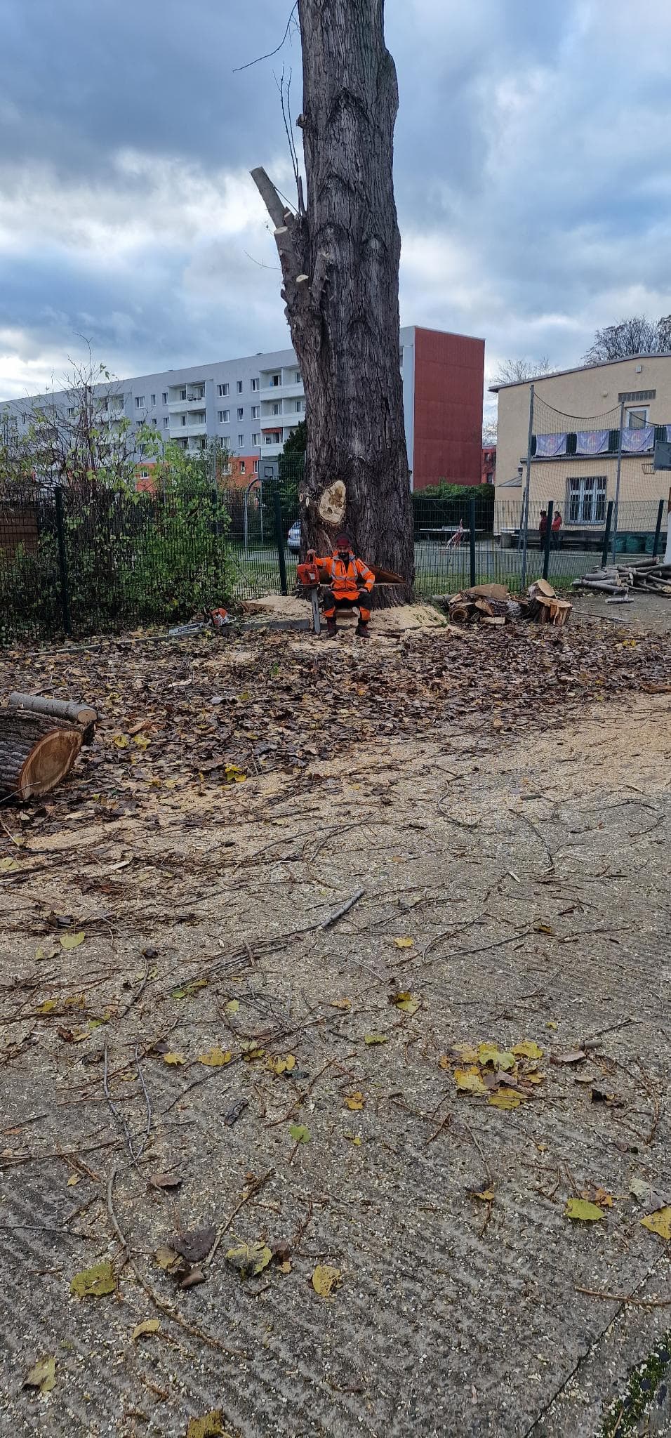 signal 2024 11 17 134421 005