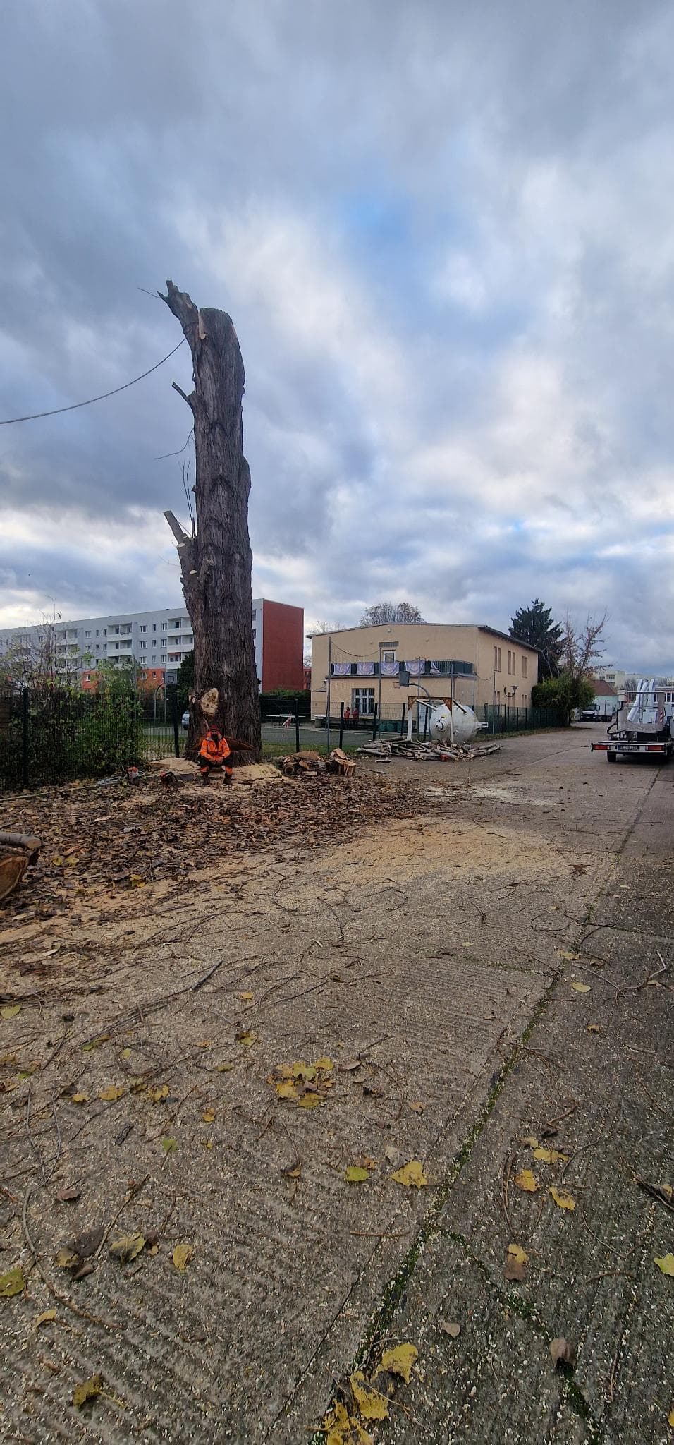 signal 2024 11 17 134421 006