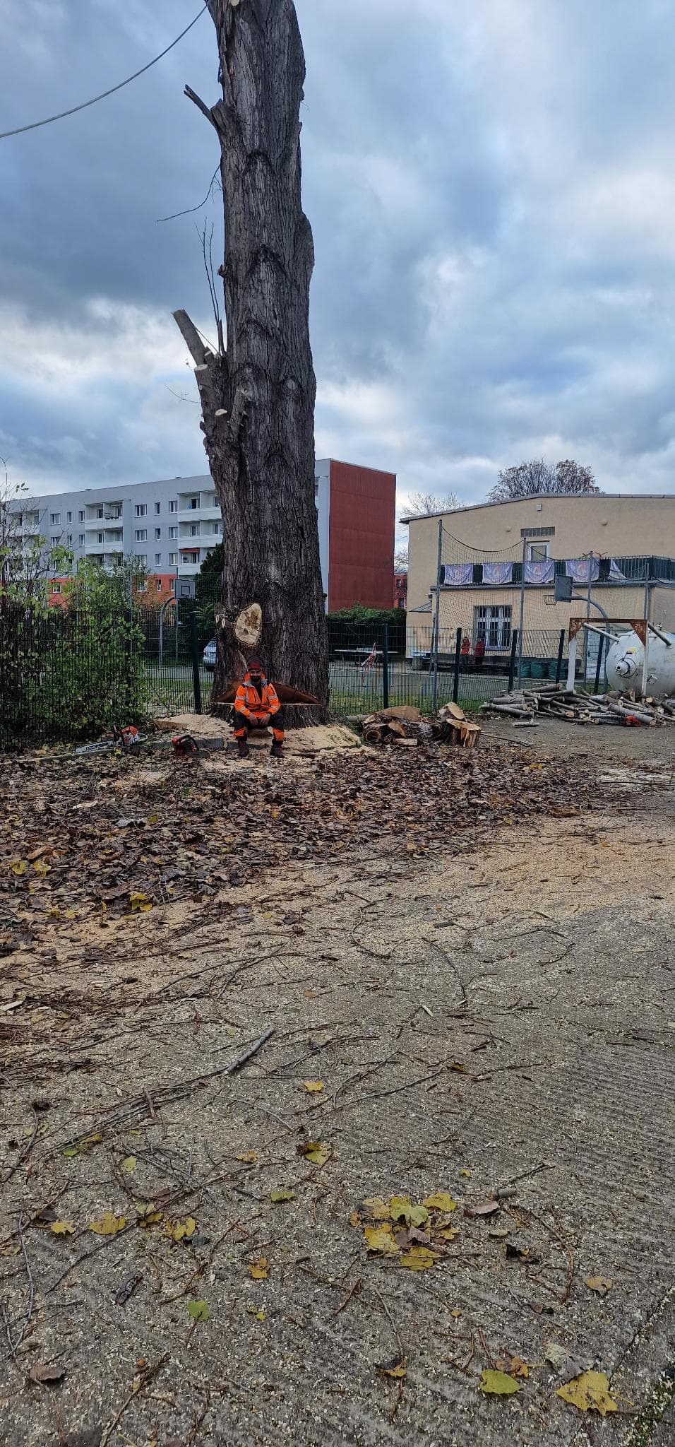 signal 2024 11 17 134421 007