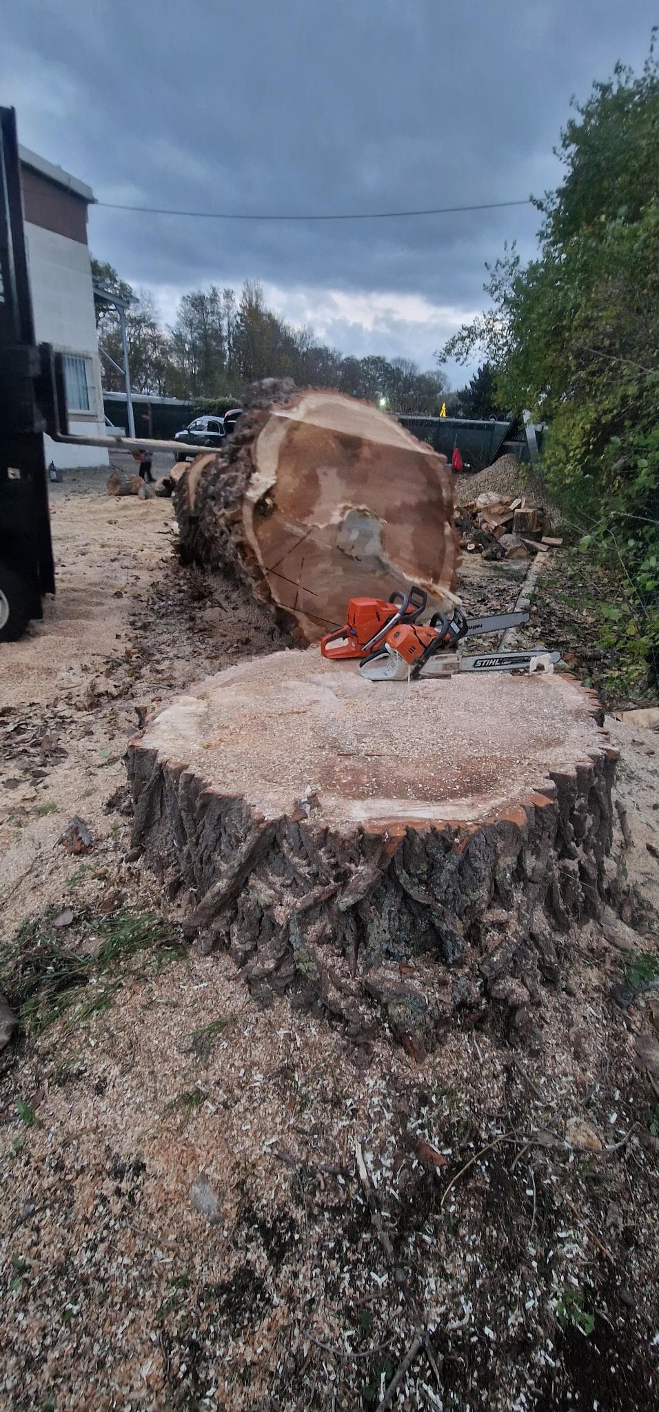 signal 2024 11 17 134421 008