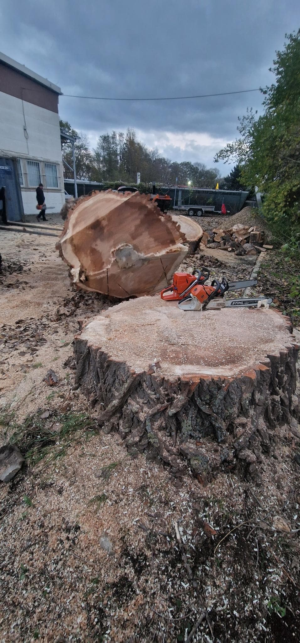 signal 2024 11 17 134421 009