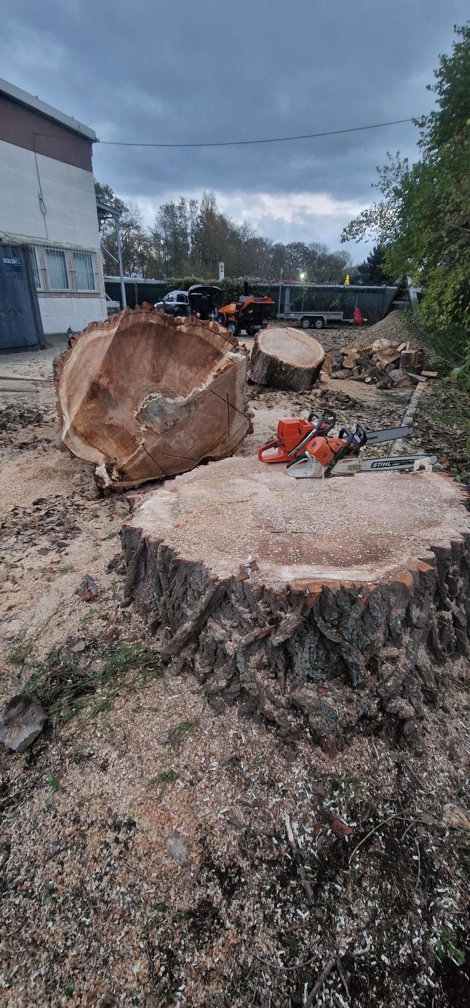 signal 2024 11 17 134421 010