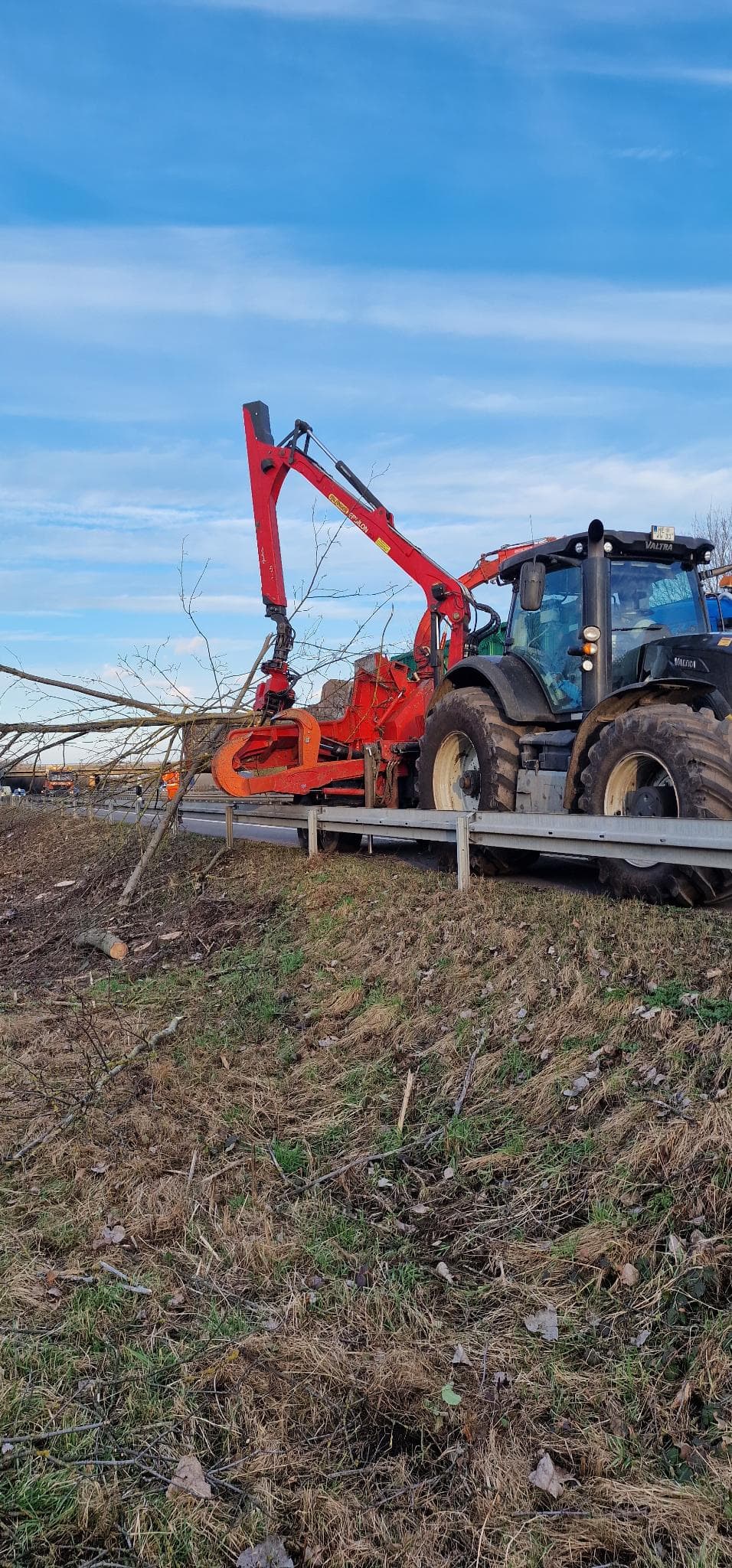 signal 2024 11 17 134741 003