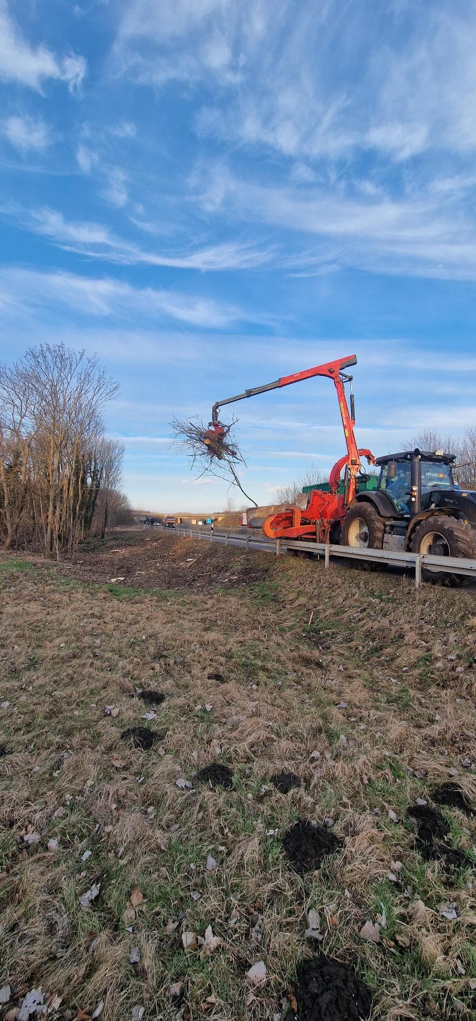 signal 2024 11 17 134741 005