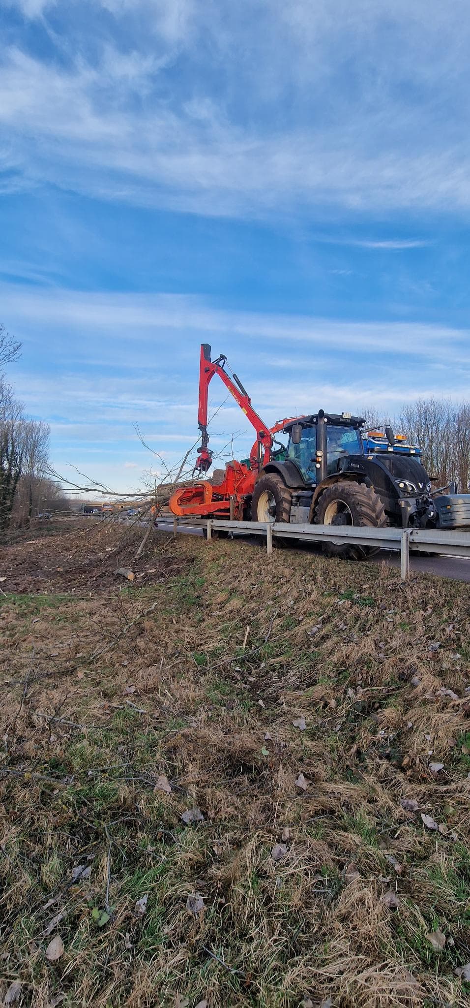 signal 2024 11 17 134741 007