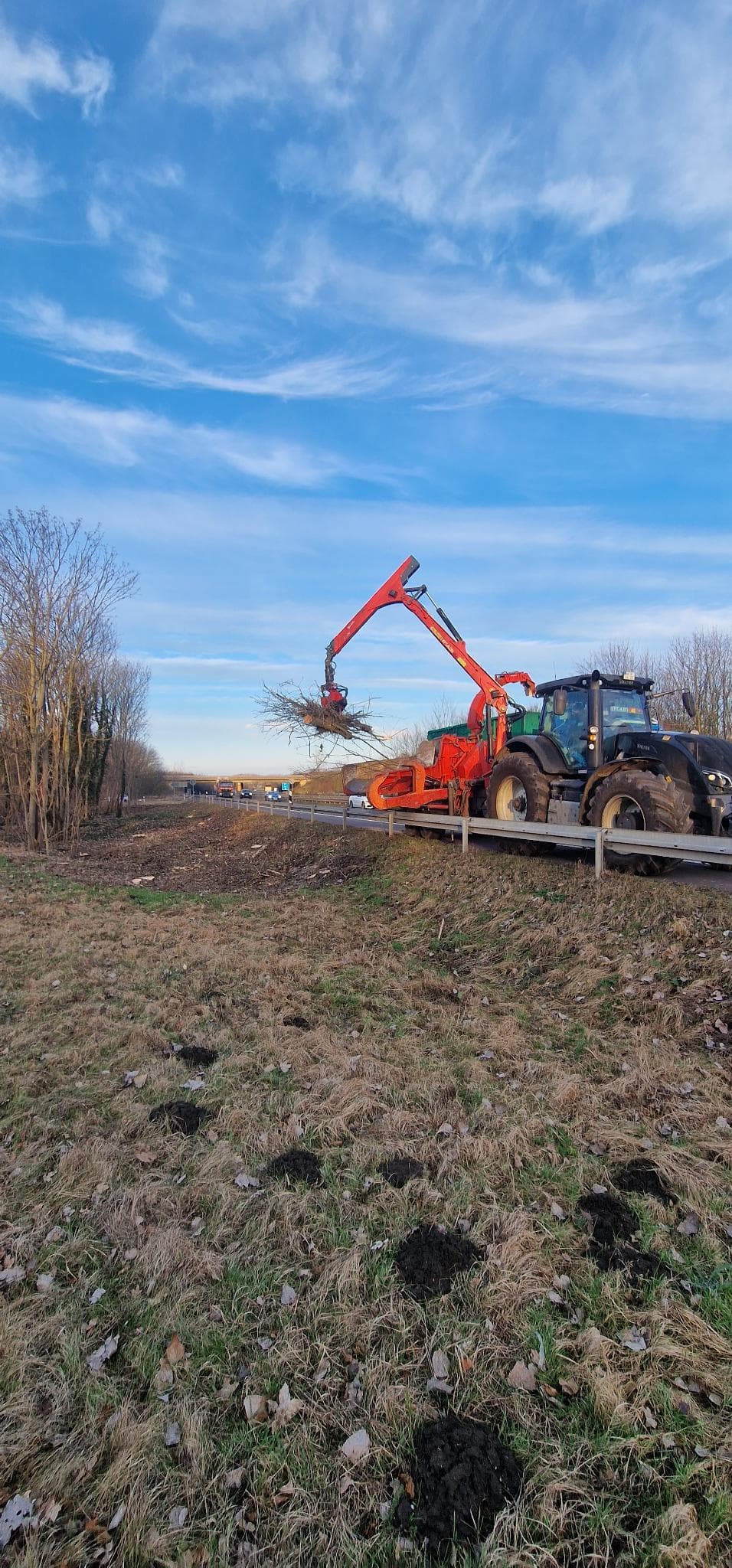 signal 2024 11 17 134741 008