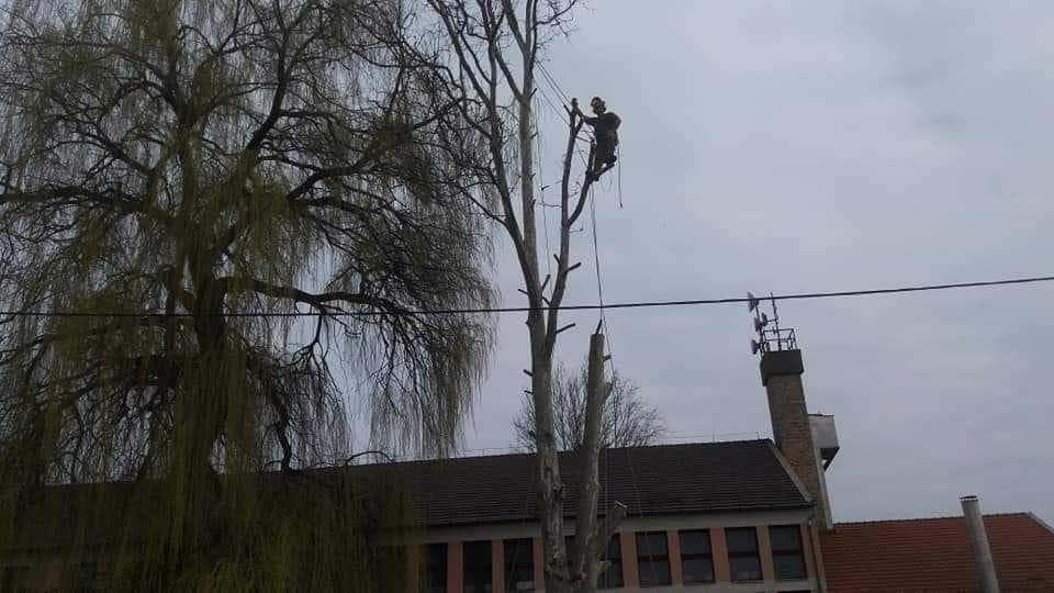 Forstarbeiten und Waldbewirtschaftung