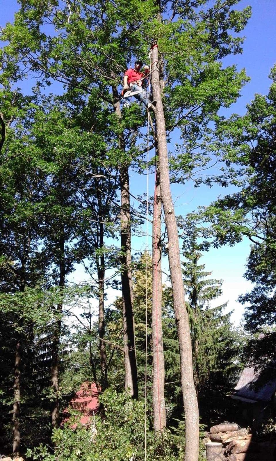 signal 2024 11 17 135309 005