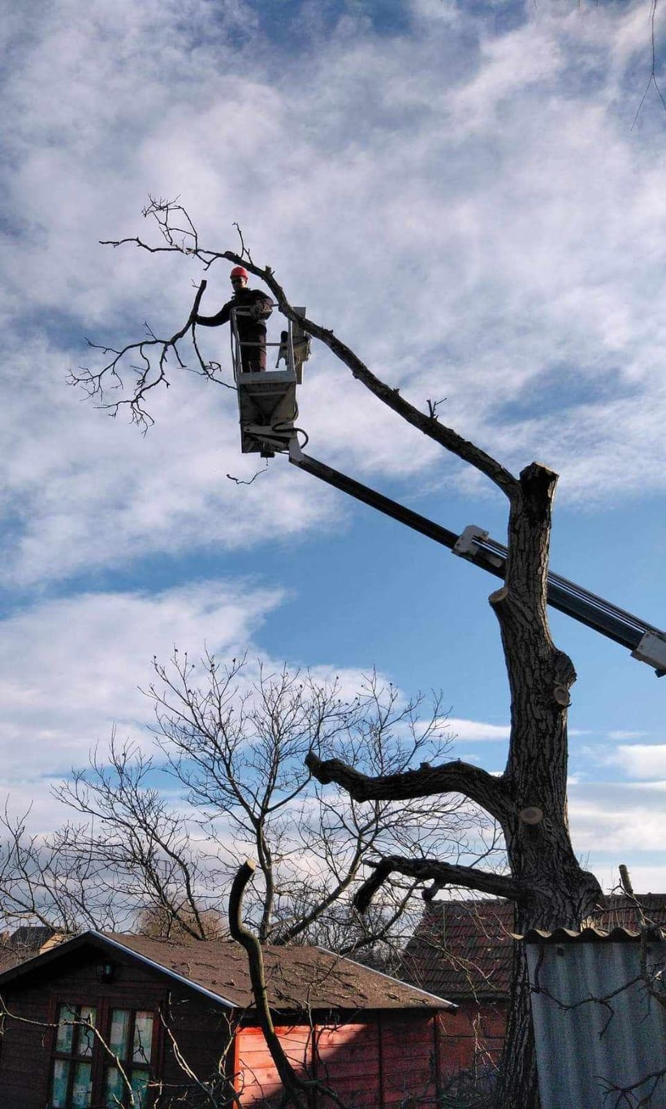 signal 2024 11 17 135309 006