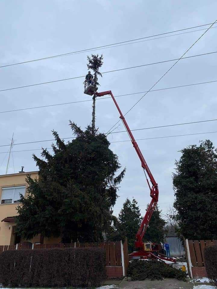 signal 2024 11 17 135309 008