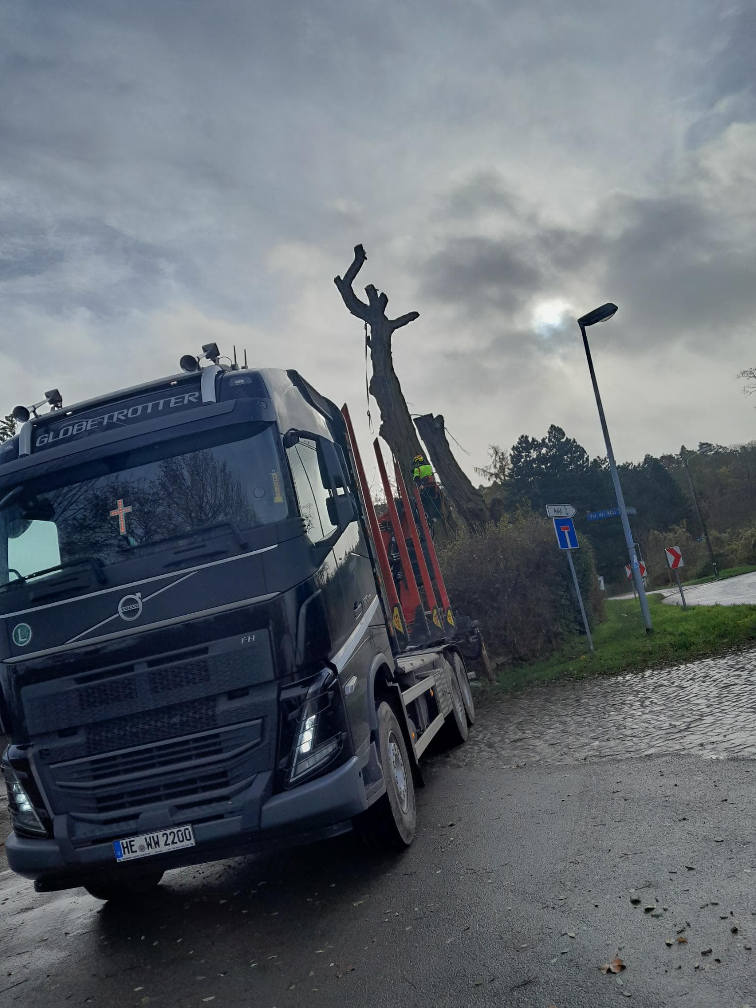 signal 2024 11 21 100233 004