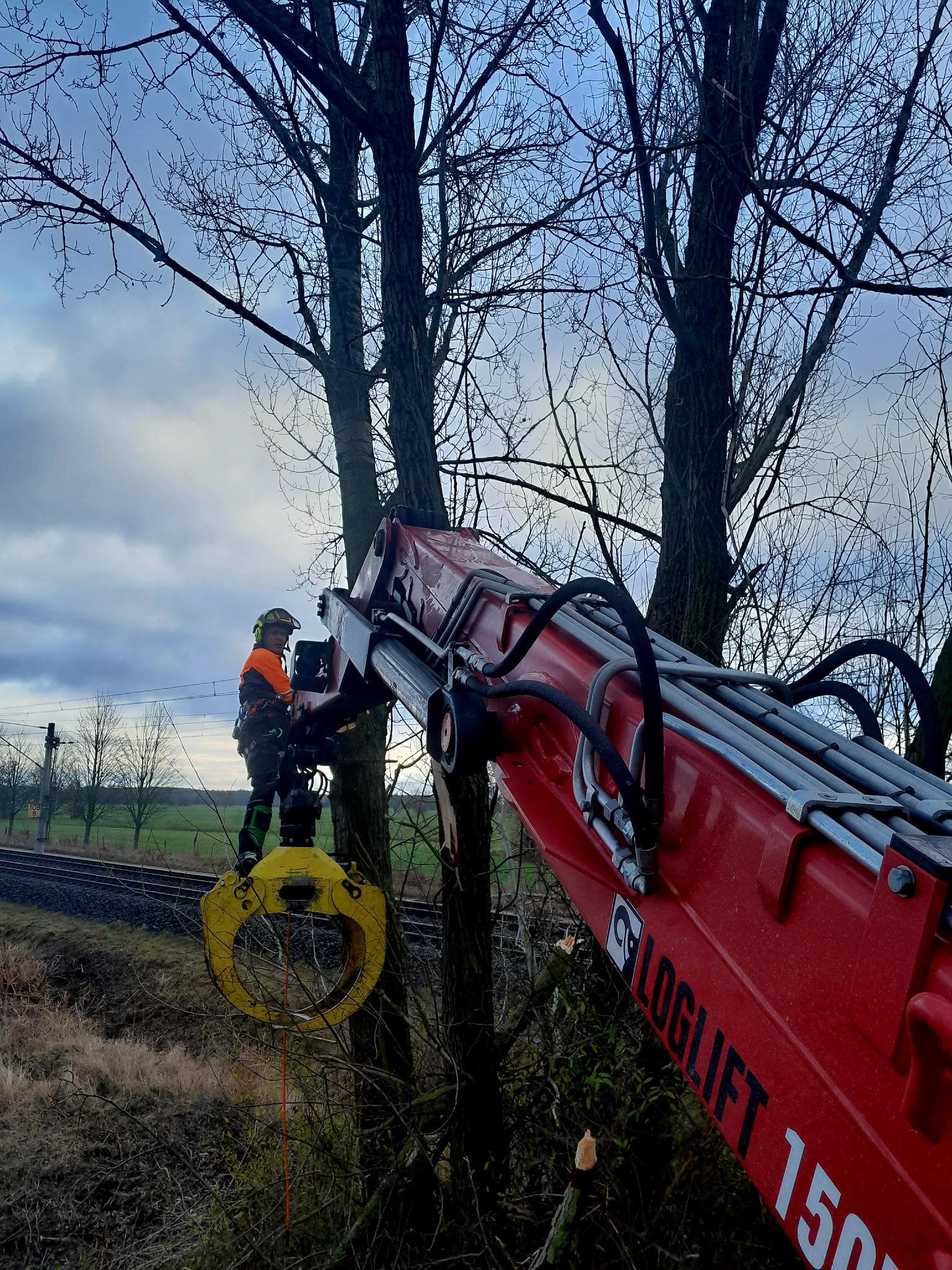 signal 2024 12 14 224918 0021