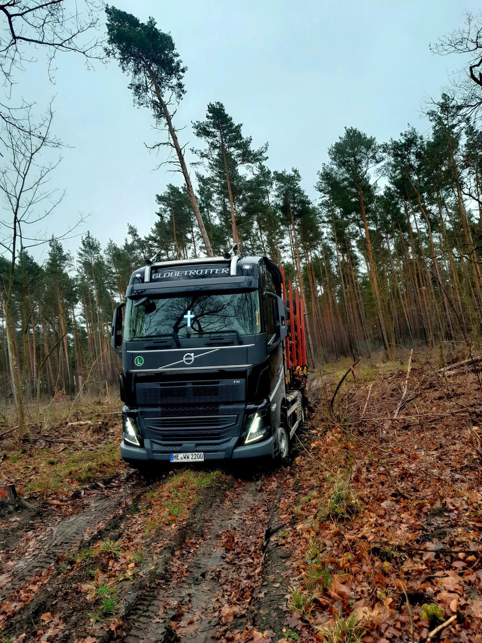 signal 2024 12 14 224918 003